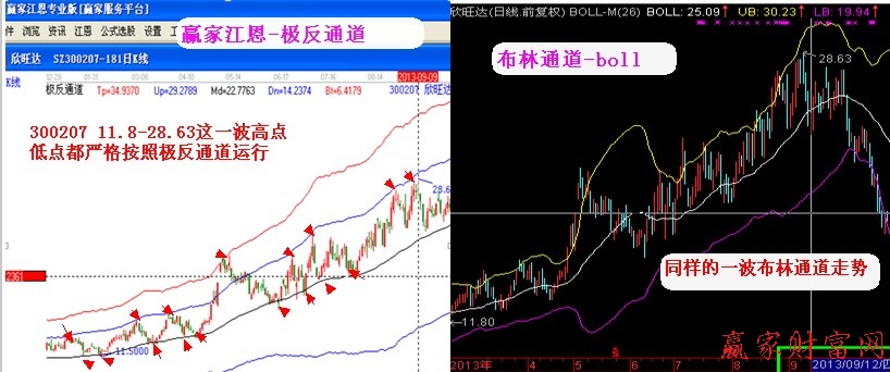 極反、布林