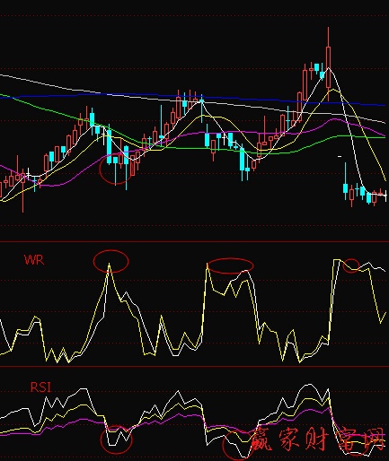 RSI WR