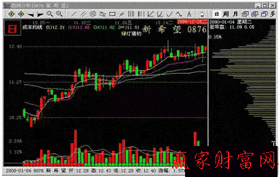 籌碼分布圖片