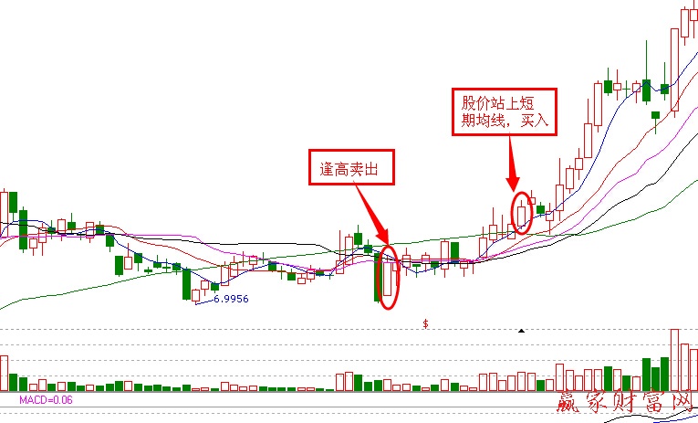 高轉送股