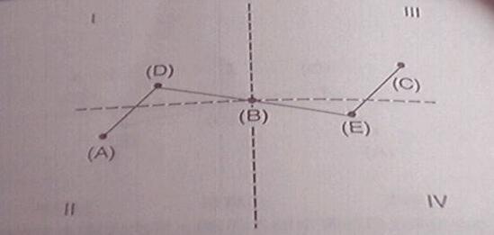 亞當(dāng)理論的對(duì)稱性