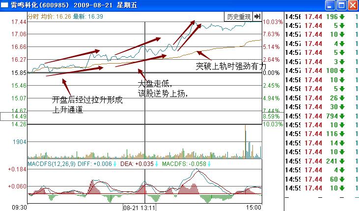 雷鳴科化600985