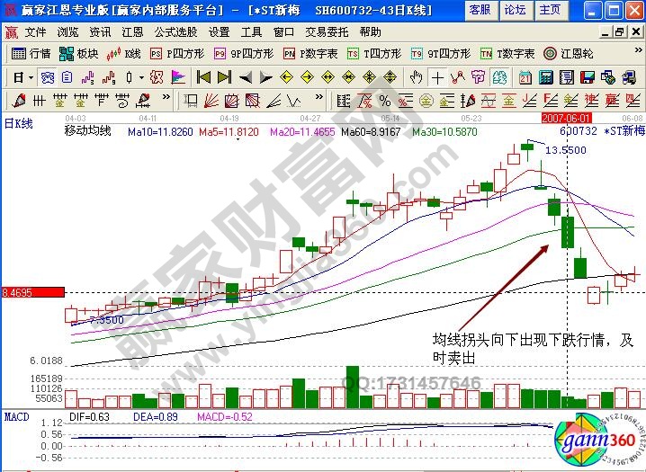 上海新梅