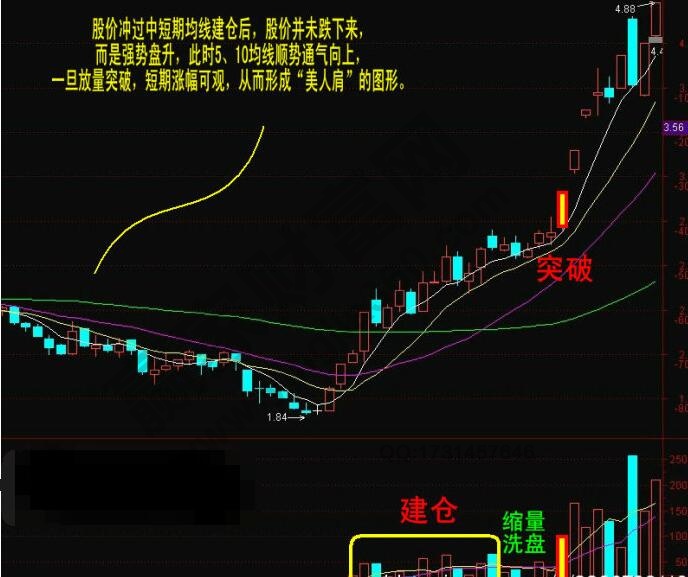 美人肩形態(tài)圖解