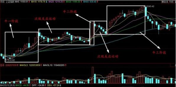 次級反應運動形成的原因