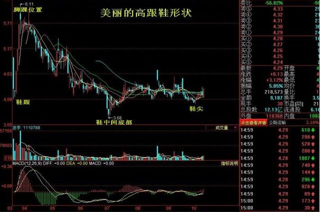 美麗的“高跟鞋”形態(tài)