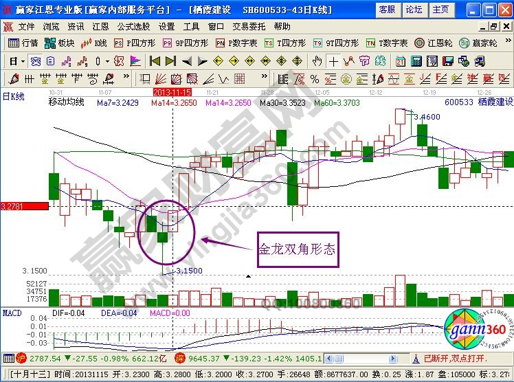 金龍雙角形態(tài)的定義