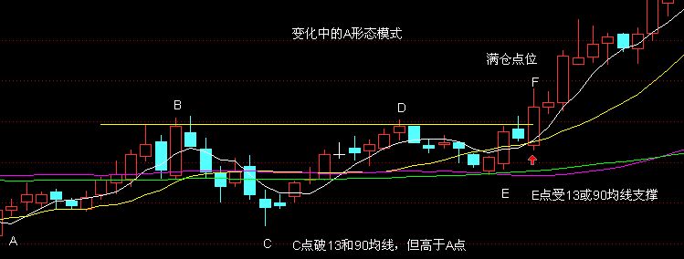 5彎13形態(tài)