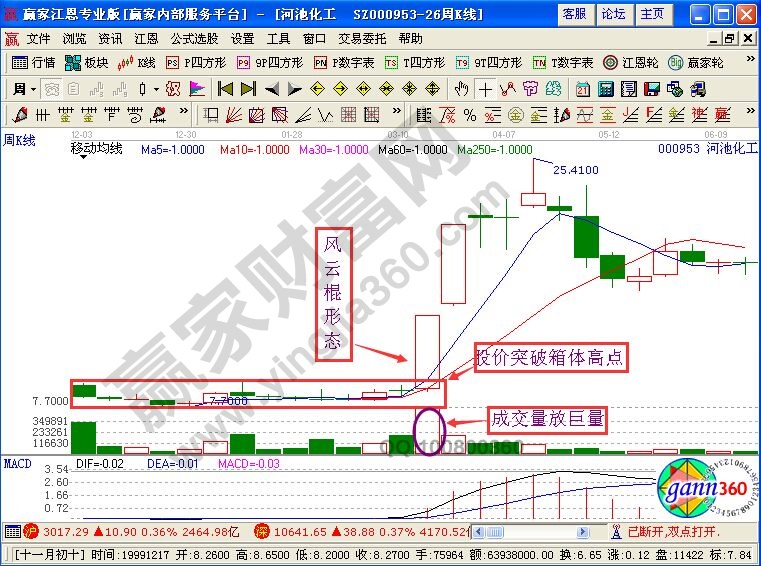 風云棍形態(tài)特征