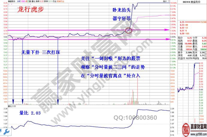 龍行虎步的分析