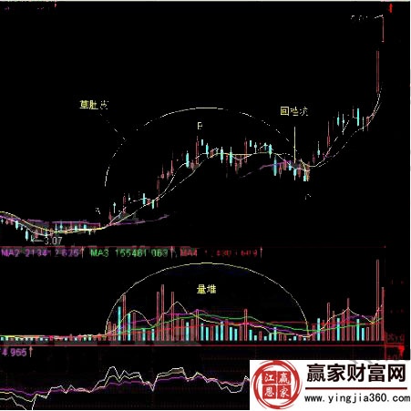 深圳機(jī)場草肚皮