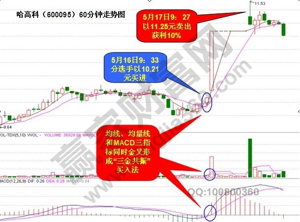 哈高科的走勢(shì)圖.jpg