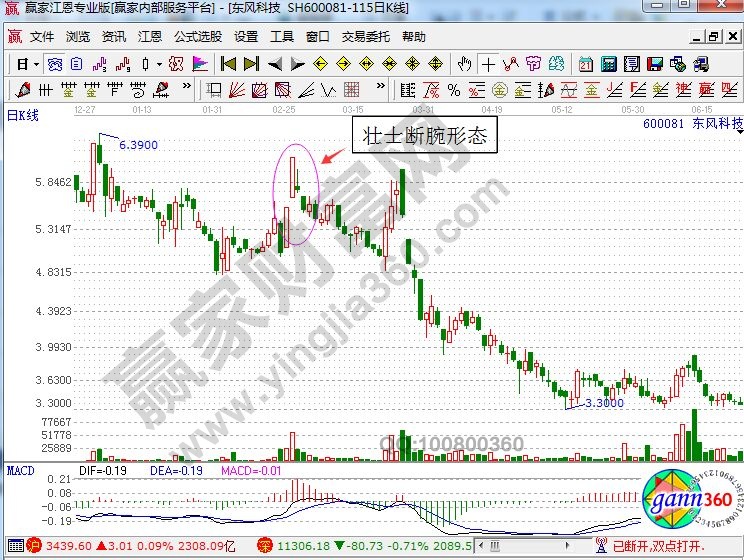 東風科技中的壯士斷腕形態(tài).jpg