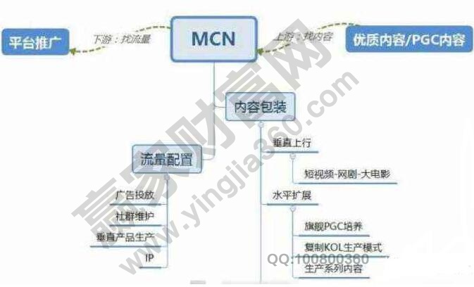 MCN公司是什么意思