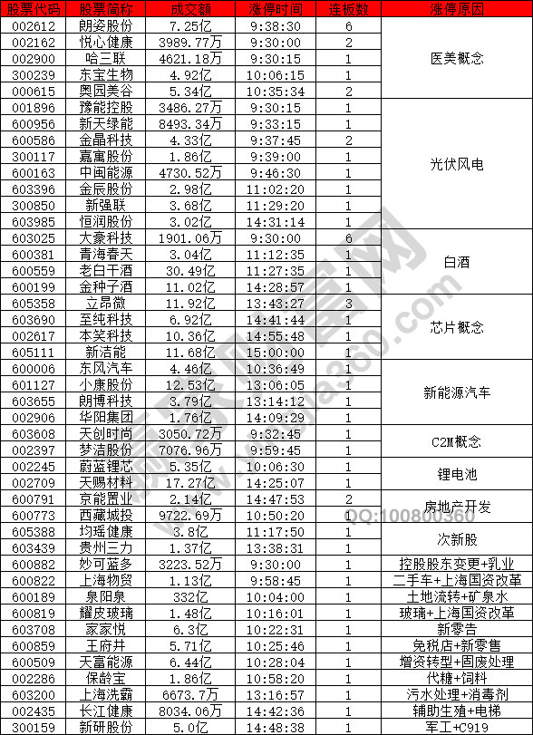 消費概念強勢