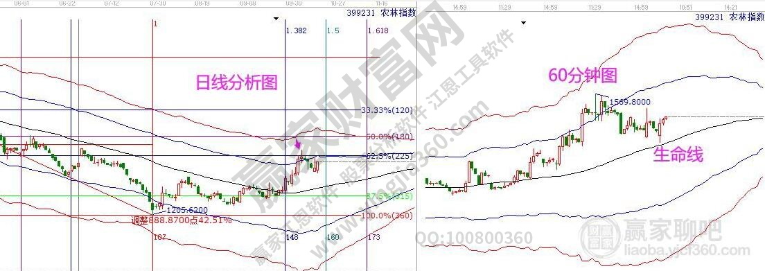 農(nóng)林牧漁分析